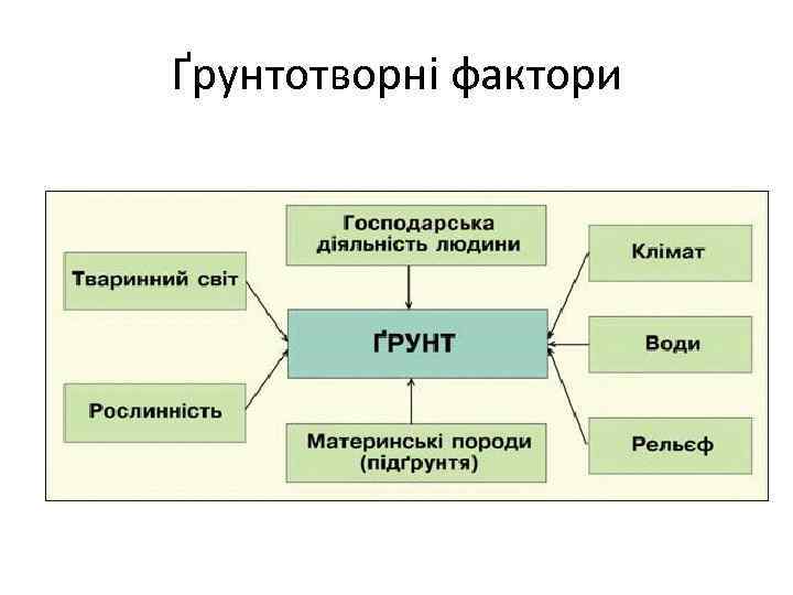 Ґрунтотворні фактори 