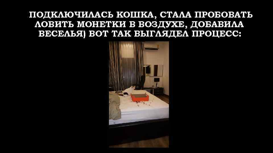 ПОДКЛЮЧИЛАСЬ КОШКА, СТАЛА ПРОБОВАТЬ ЛОВИТЬ МОНЕТКИ В ВОЗДУХЕ, ДОБАВИЛА ВЕСЕЛЬЯ) ВОТ ТАК ВЫГЛЯДЕЛ ПРОЦЕСС: