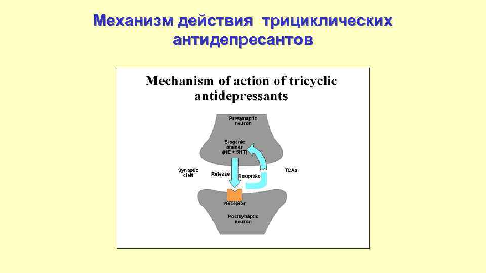 Механизм действия трициклических антидепресантов 