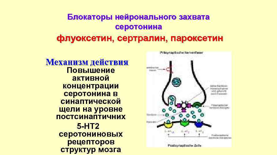 Блокаторы нейронального захвата серотонина флуоксетин, сертралин, пароксетин Механизм действия Повышение активной концентрации серотонина в