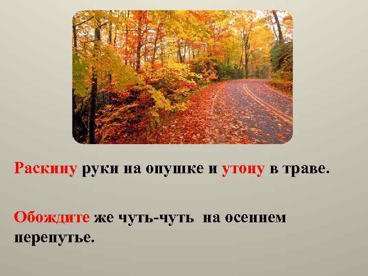 Раскину руки на опушке и утону в траве. Обождите же чуть-чуть на осеннем перепутье.