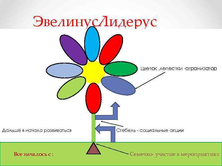 Эвелинус. Лидерус Цв Дальше я начала развиваться Все началось с : Цветок , лепестки