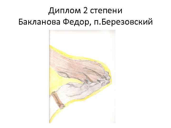 Диплом 2 степени Бакланова Федор, п. Березовский 