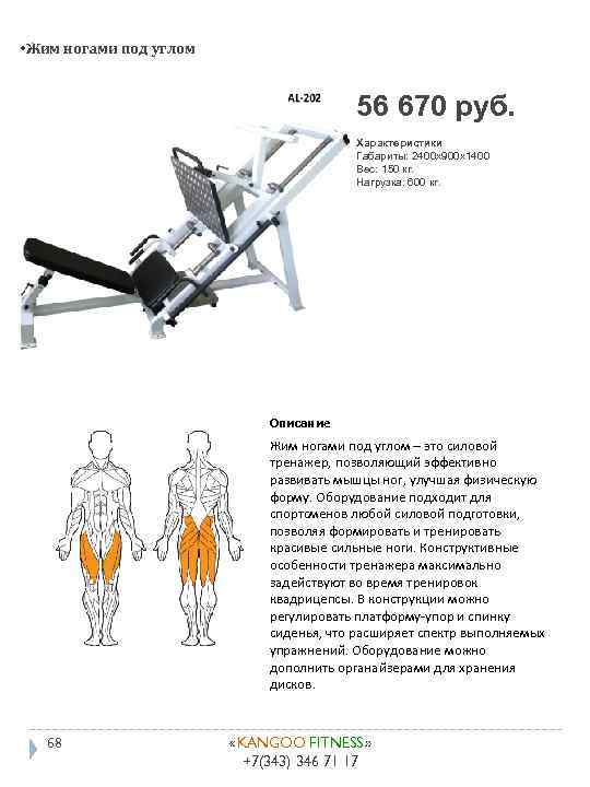  • Жим ногами под углом 56 670 руб. Характеристики Габариты: 2400 x 900