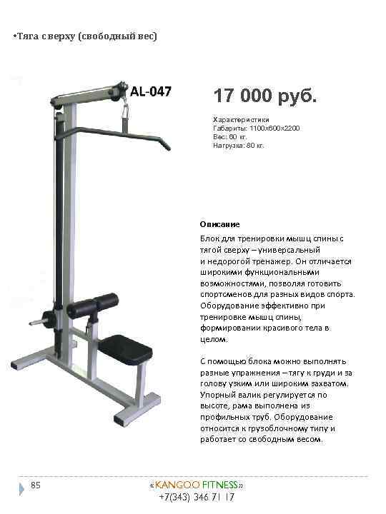  • Тяга с верху (свободный вес) 17 000 руб. Характеристики Габариты: 1100 x