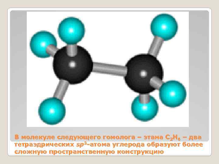 В молекуле следующего гомолога – этана С 2 Н 6 – два тетраэдрических sp