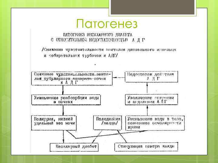 Патогенез 