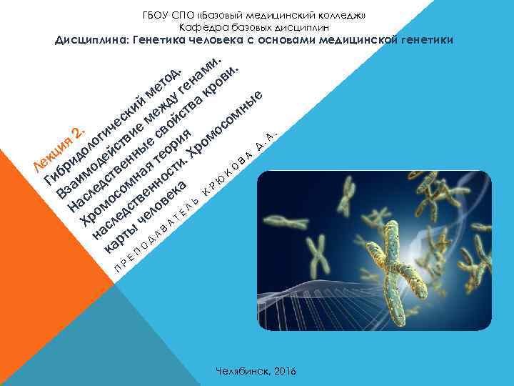 ГБОУ СПО «Базовый медицинский колледж» Кафедра базовых дисциплин Дисциплина: Генетика человека с основами медицинской