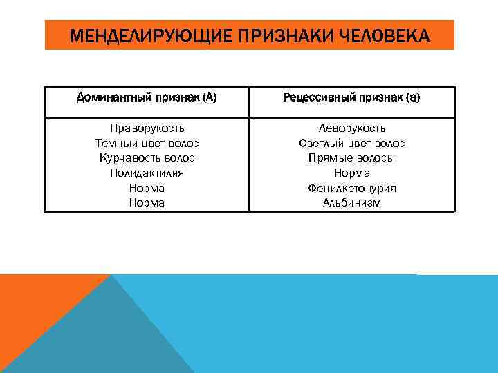 МЕНДЕЛИРУЮЩИЕ ПРИЗНАКИ ЧЕЛОВЕКА Доминантный признак (А) Рецессивный признак (а) Праворукость Темный цвет волос Курчавость