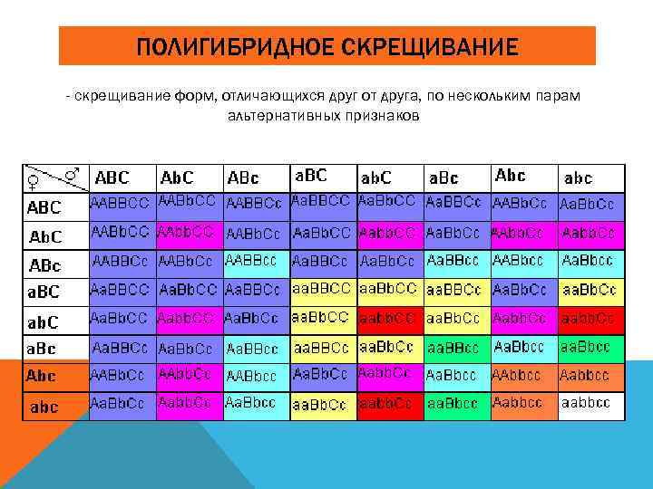 ПОЛИГИБРИДНОЕ СКРЕЩИВАНИЕ - скрещивание форм, отличающихся друг от друга, по нескольким парам альтернативных признаков