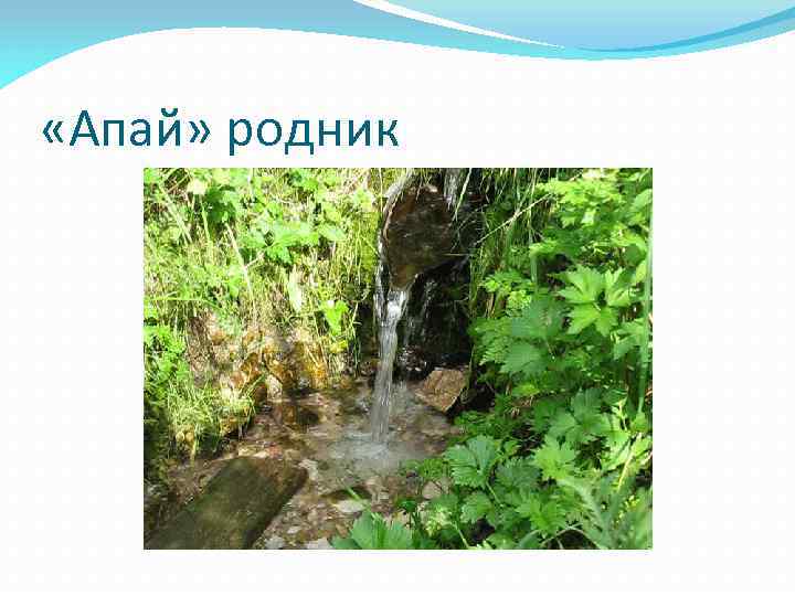  «Апай» родник 