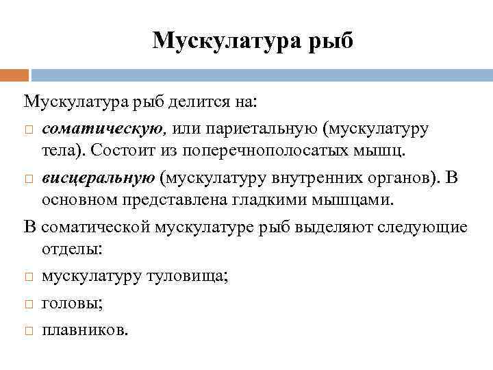 Мускулатура рыб делится на: соматическую, или париетальную (мускулатуру тела). Состоит из поперечнополосатых мышц. висцеральную