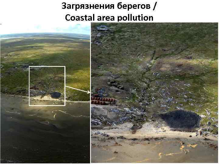 Загрязнения берегов / Coastal area pollution 12 