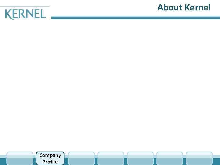 About Kernel Company Profile 