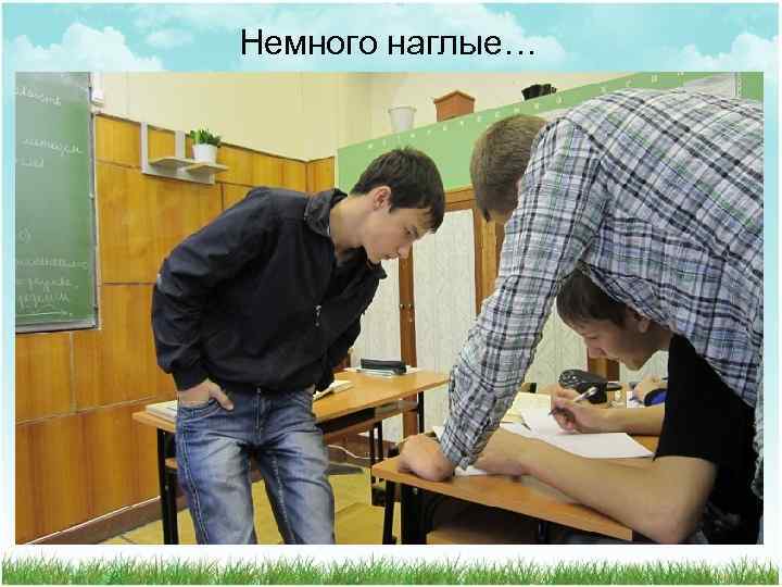 Немного наглые… 