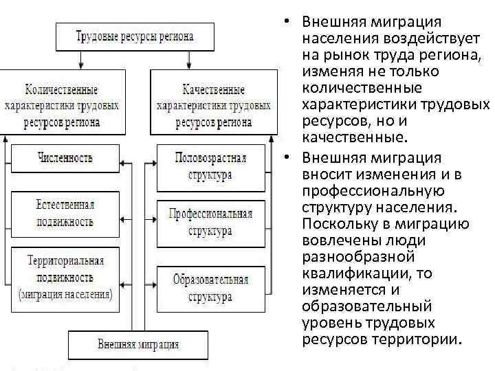 Рынок трудовых ресурсов. Функции миграции трудовых ресурсов. Характеристика трудовых ресурсов. Внешние миграции населения. Внешняя миграция характеристика.