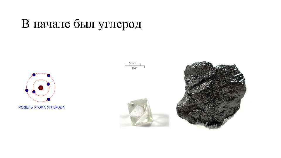 В начале был углерод 