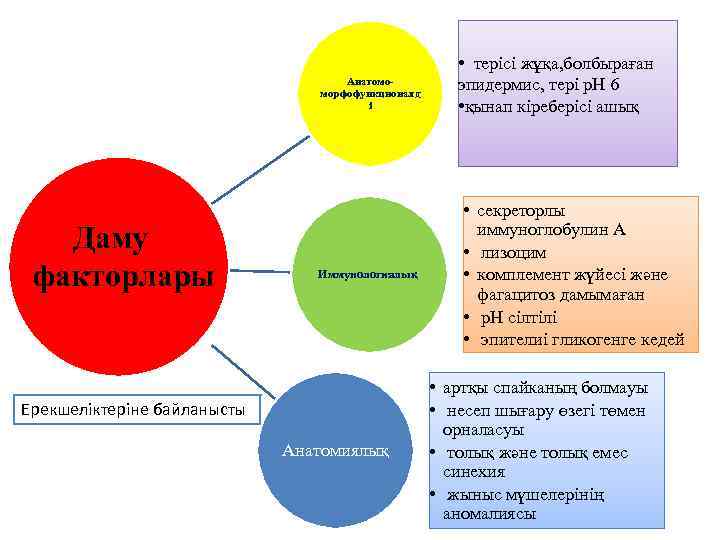 Анатомоморфофункционалд і Даму факторлары Иммунологиялық: Ерекшеліктеріне байланысты Анатомиялық • терісі жұқа, болбыраған эпидермис, тері