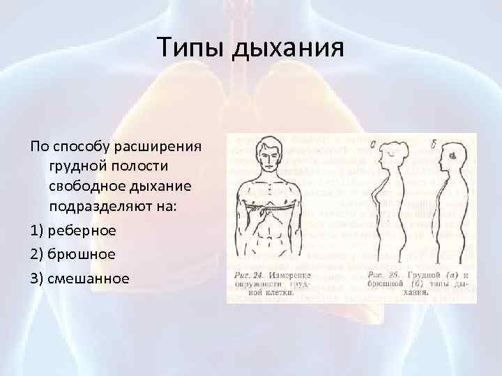 Типы дыхания. Грудной Тип дыхания. Торакальный Тип дыхания это. Типы дыхания грудной брюшной и смешанный.