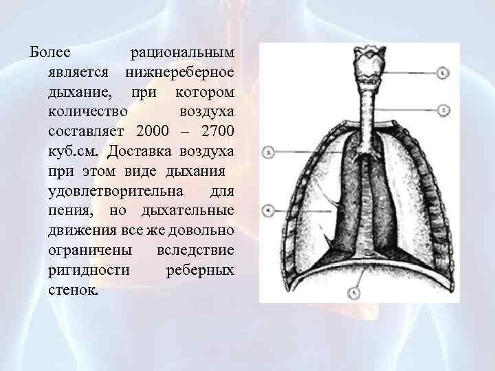 Более рациональным является нижнереберное дыхание, при котором количество воздуха составляет 2000 – 2700 куб.