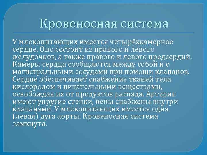 Кровеносная система У млекопитающих имеется четырёхкамерное сердце. Оно состоит из правого и левого желудочков,