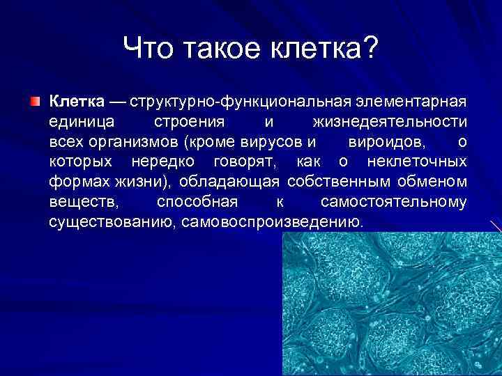 Клетка определение. Клетка это в биологии кратко. Что то в клетку.