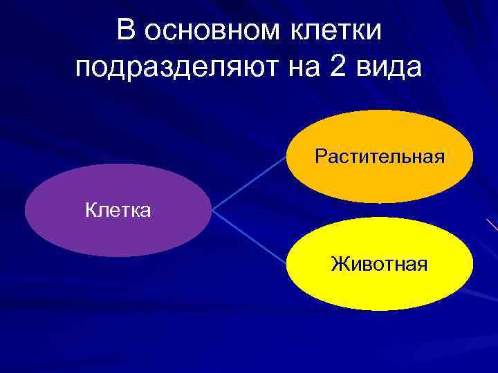 В основном клетки подразделяют на 2 вида Растительная Клетка Животная 