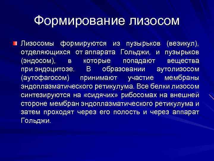 Формирование лизосом Лизосомы формируются из пузырьков (везикул), отделяющихся от аппарата Гольджи, и пузырьков (эндосом),