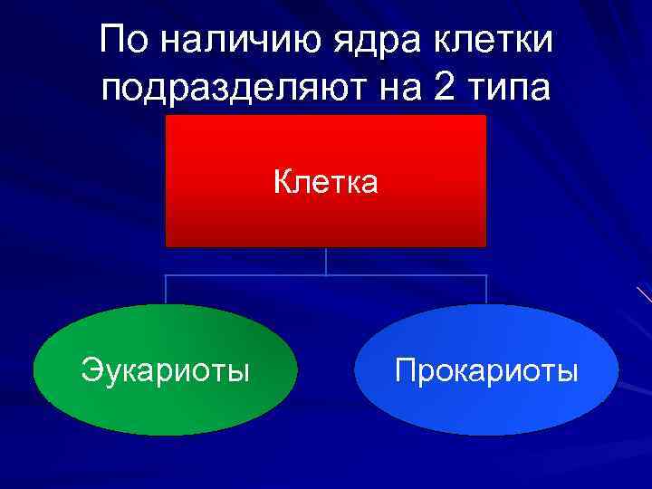 По наличию ядра клетки подразделяют на 2 типа Клетка Эукариоты Прокариоты 