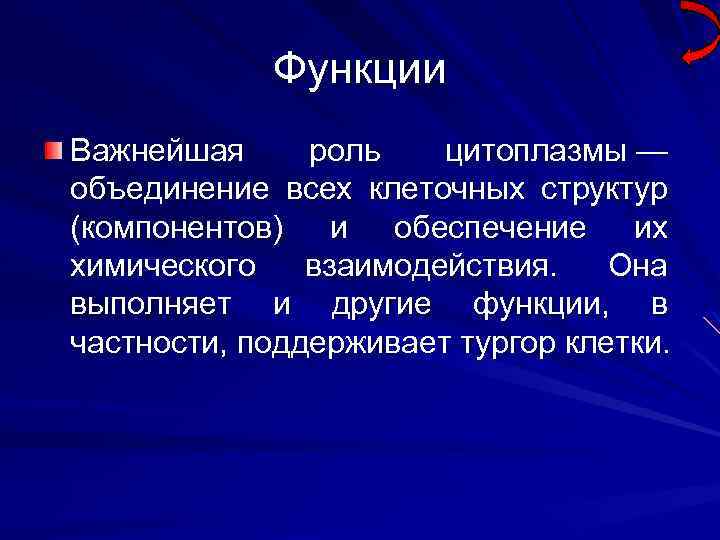 Функции Важнейшая роль цитоплазмы — объединение всех клеточных структур (компонентов) и обеспечение их химического