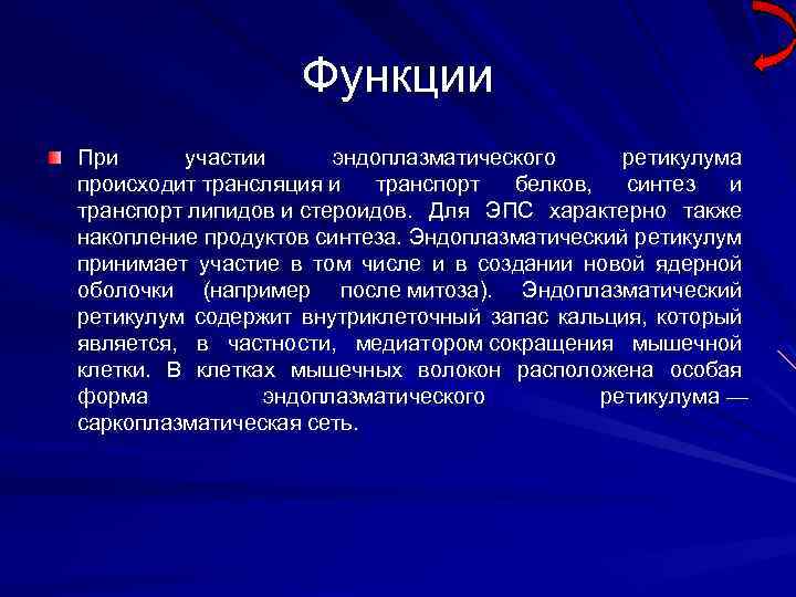 Функции При участии эндоплазматического ретикулума происходит трансляция и транспорт белков, синтез и транспорт липидов