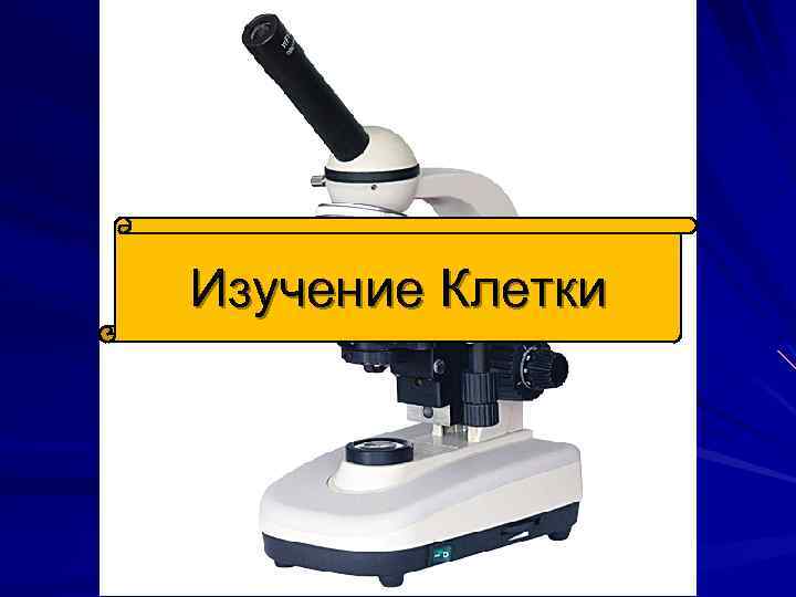 Изучение Клетки 