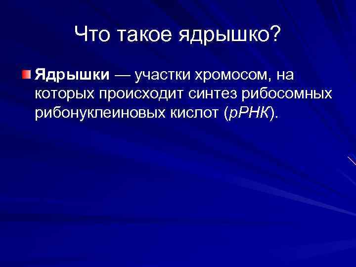 Что такое ядрышко? Ядрышки — участки хромосом, на которых происходит синтез рибосомных рибонуклеиновых кислот