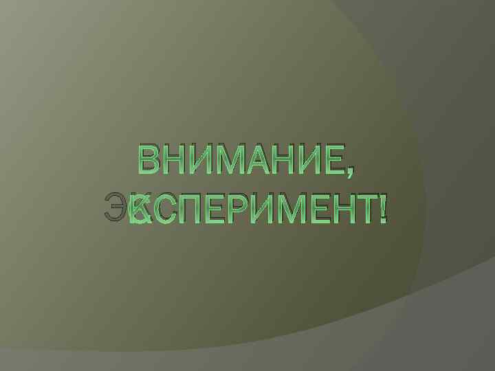 ВНИМАНИЕ, ЭКСПЕРИМЕНТ! 