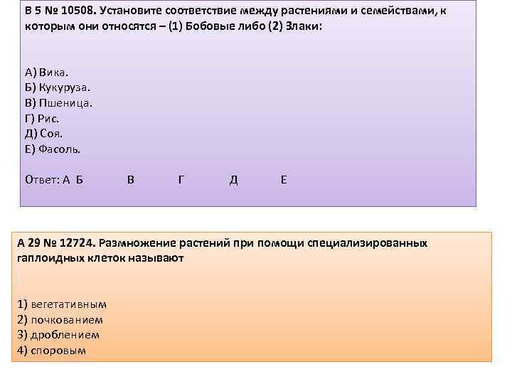 B 5 № 10508. Установите соответствие между растениями и семействами, к которым они относятся