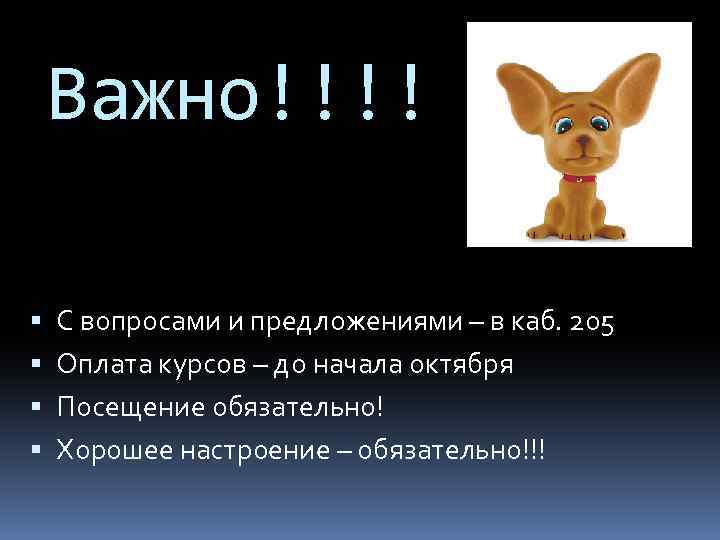 Важно!!!! С вопросами и предложениями – в каб. 205 Оплата курсов – до начала