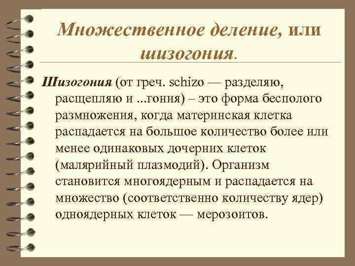 Множественное деление, или шизогония. Шизогония (от греч. schizo — разделяю, расщепляю и. . .