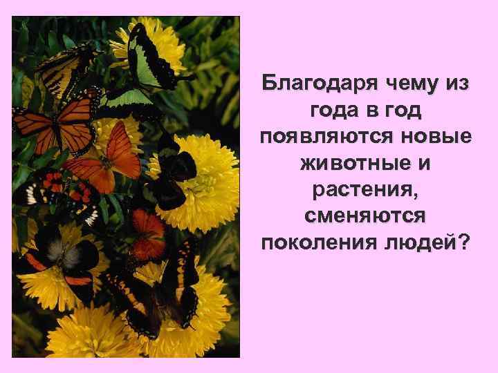 Благодаря чему из года в год появляются новые животные и растения, сменяются поколения людей?