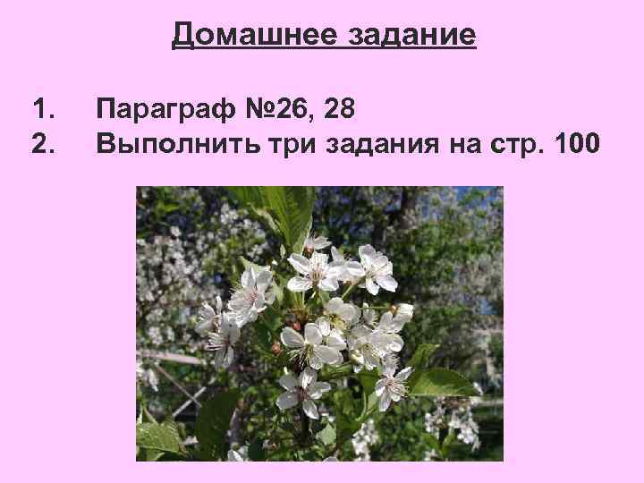 Домашнее задание 1. 2. Параграф № 26, 28 Выполнить три задания на стр. 100