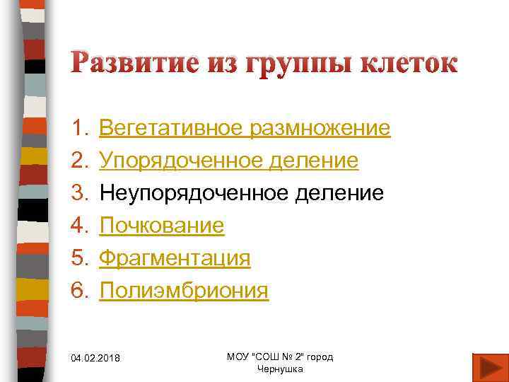 Развитие из группы клеток 1. 2. 3. 4. 5. 6. Вегетативное размножение Упорядоченное деление