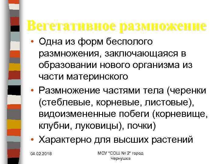 Вегетативное размножение • Одна из форм бесполого размножения, заключающаяся в образовании нового организма из