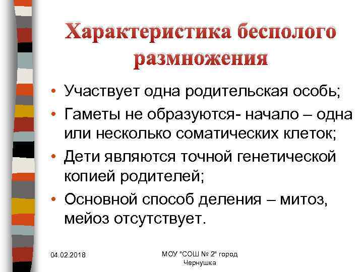 Характеристика бесполого размножения • Участвует одна родительская особь; • Гаметы не образуются- начало –