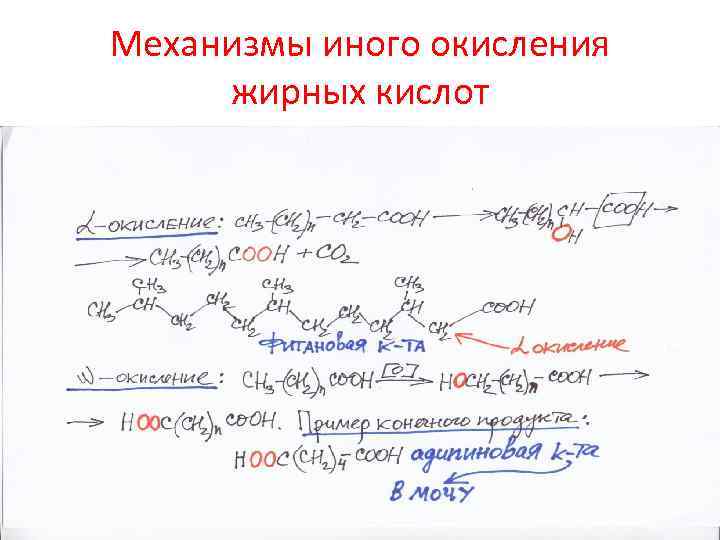 Тканевое окисление жирных кислот