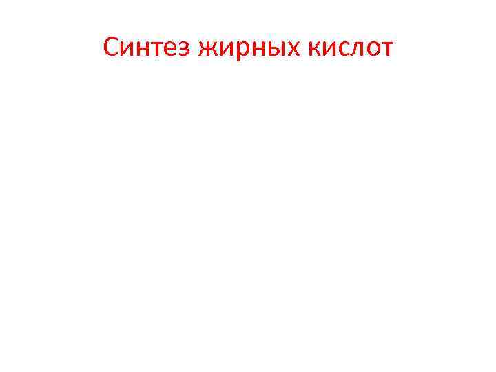 Синтез жирных кислот 