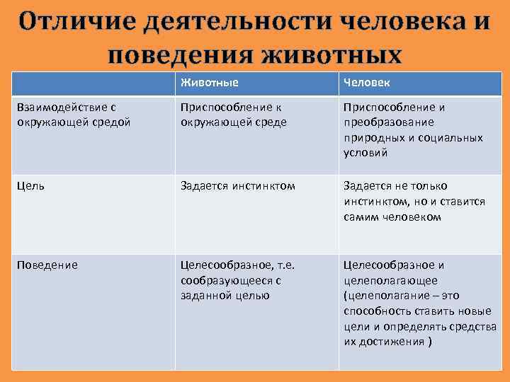 Отличие деятельности человека от деятельности животных