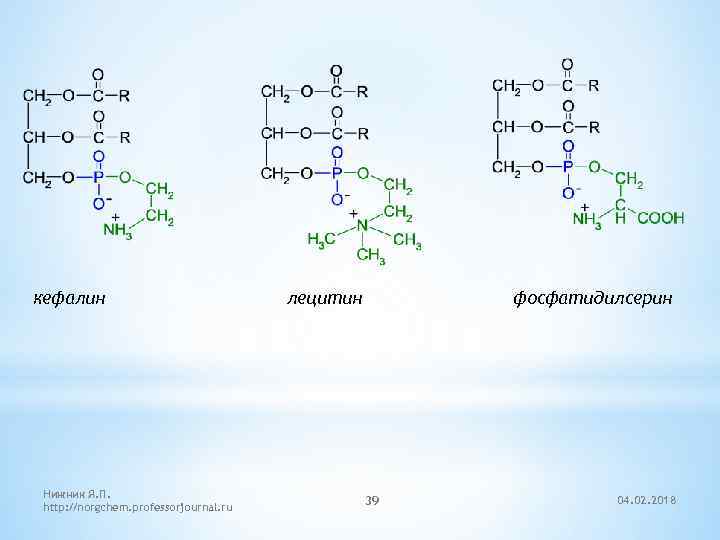 1 щелочной гидролиз изопропилацетата. Фосфатидилэтаноламин кефалин. Альфа кефалин. Лецитин и кефалин формулы. Лецитин структура химическая.