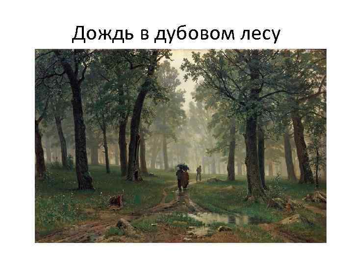 Дождь в дубовом лесу 