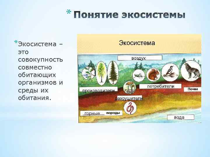 Природные экосистемы