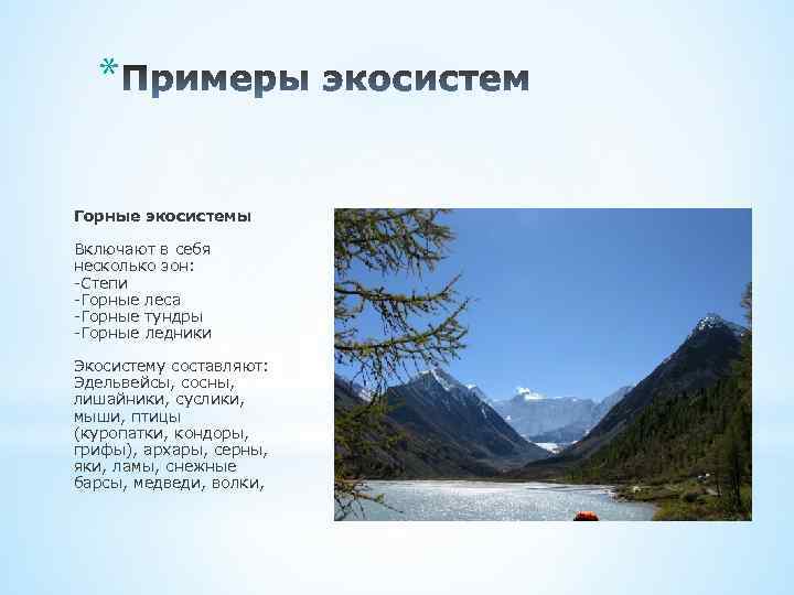 * Горные экосистемы Включают в себя несколько зон: -Степи -Горные леса -Горные тундры -Горные