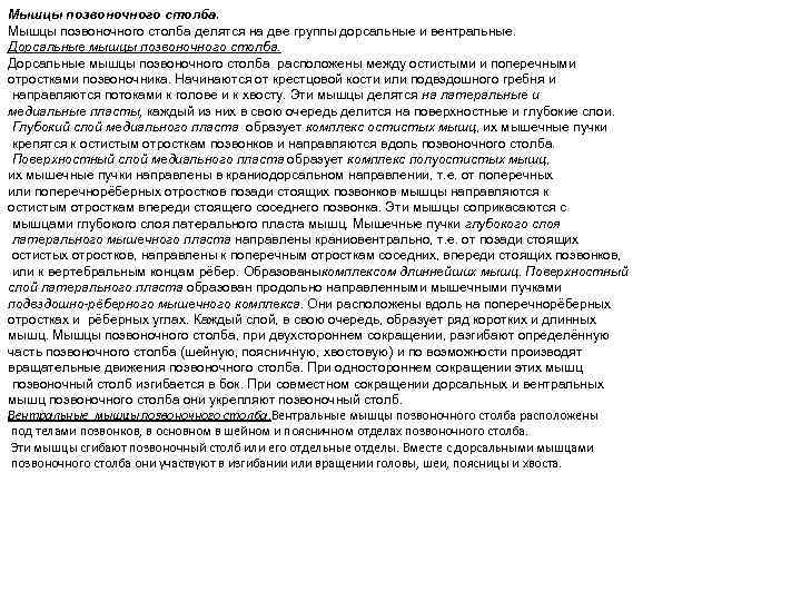 Мышцы позвоночного столба делятся на две группы дорсальные и вентральные. Дорсальные мышцы позвоночного столба